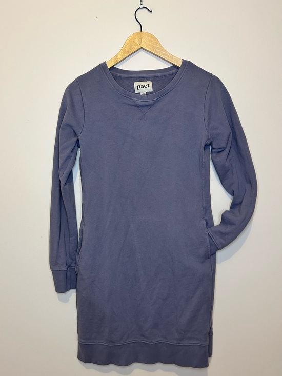 Pact Dresses & Skirts - PACT Organic Cotton Long Sleeve Sweatshirt Dress with Pockets Size Small Purple